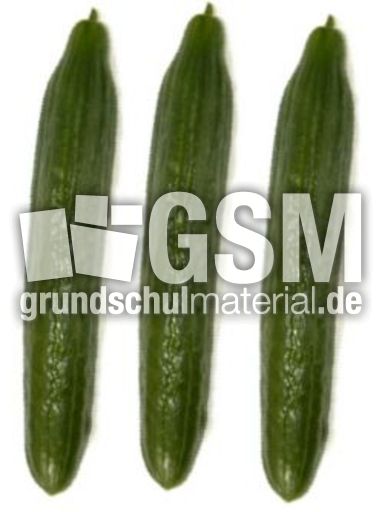 Gurken-3.jpg